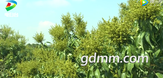 δ1615968122.png