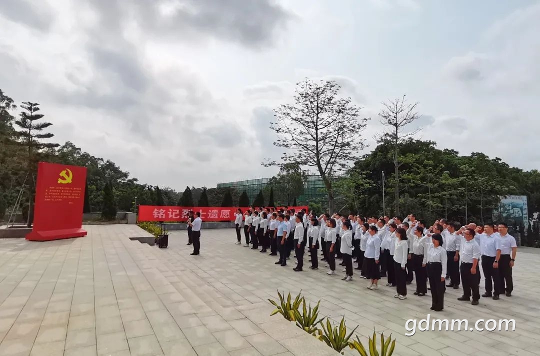 094926jlgapx3jgt1b744a.jpeg