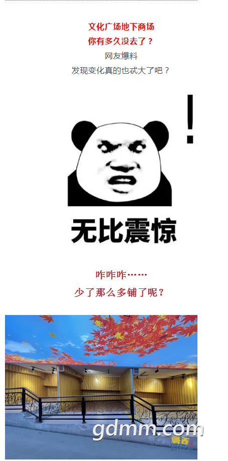 3242365.png