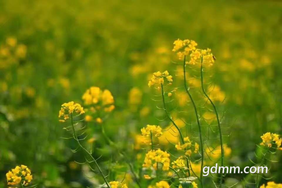 front2_0_FmHb0EBjhVl9aMDDqAJcUXsrUSAf.1616512122.jpg