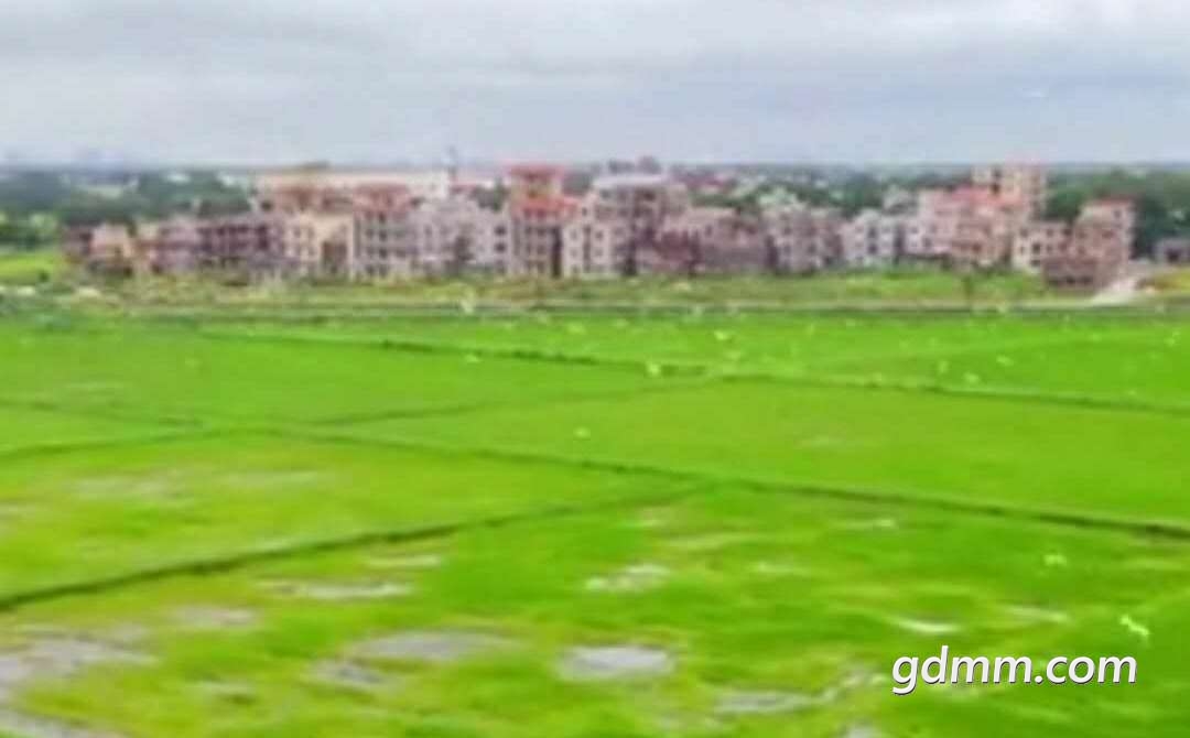 front2_0_Fk5mwegofQDJumQ7jKF8qOmsi5v2.1616900904.jpg
