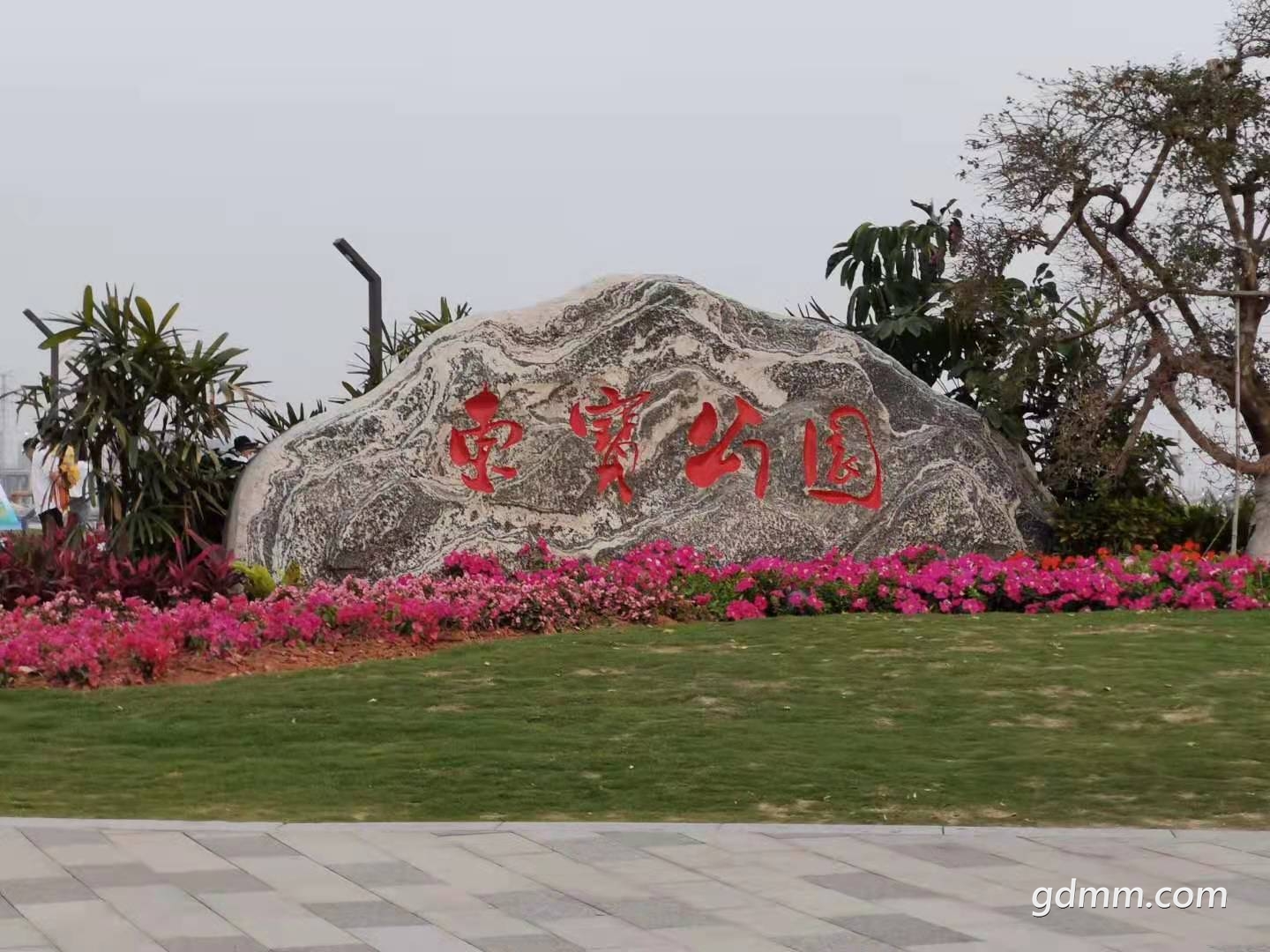 006.jpg