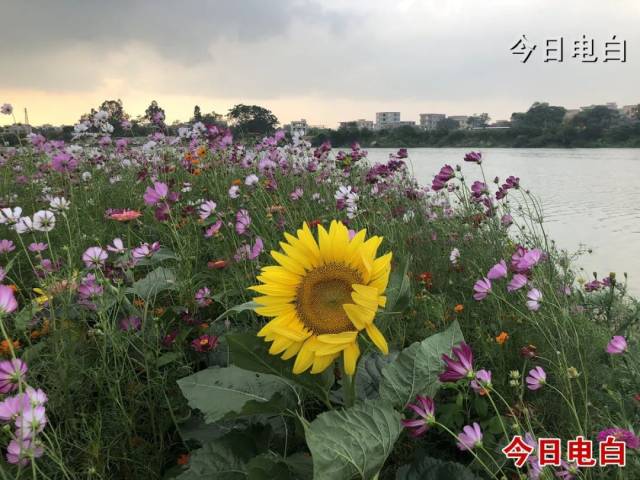 ΢ͼƬ_20210401172413.jpg