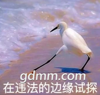 093502bizthvcoobmtmpjb.png