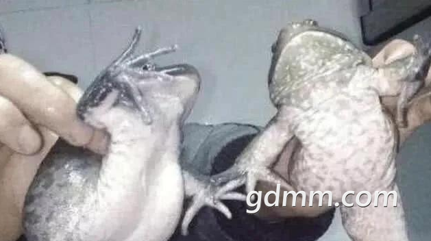 ΢Žͼ_20210413103714.png