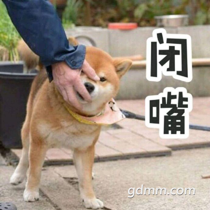 front2_0_FvKN1RRiXxnGUiASPUp3-pIGFWmI.1618284381.png