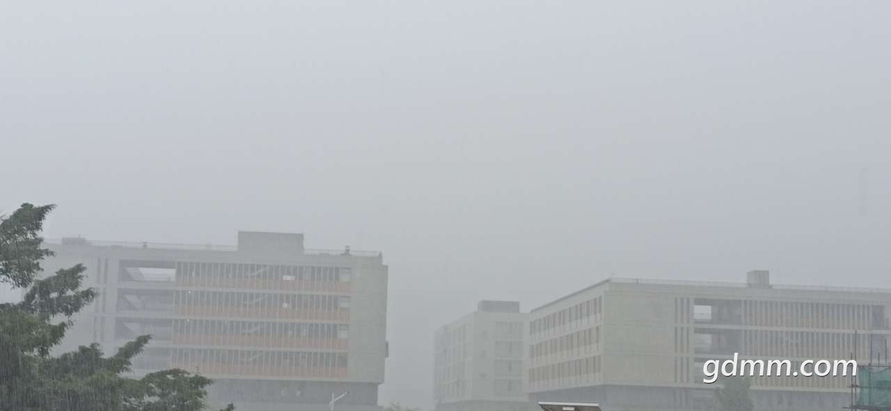 front2_0_FviihL_lwHVWUbV7tNux52-c81td.1618544468.jpg