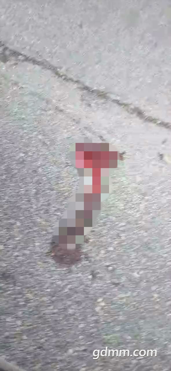 33.jpg