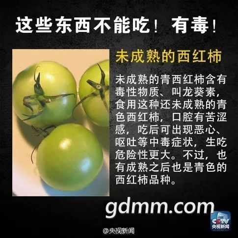 123621zx066wgo06s66oo6.jpeg