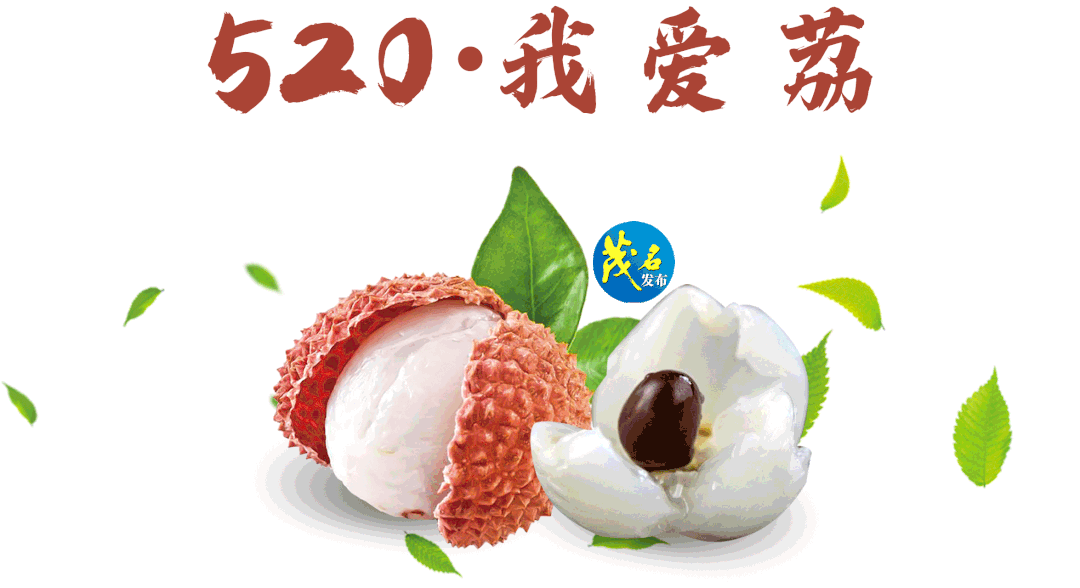135519nx2xueo4ku1x2u4p.gif