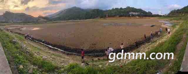 front1_0_Fk3BH3eBg-yVTEZTCgIuuPxrMK3Y.1621870924.jpg