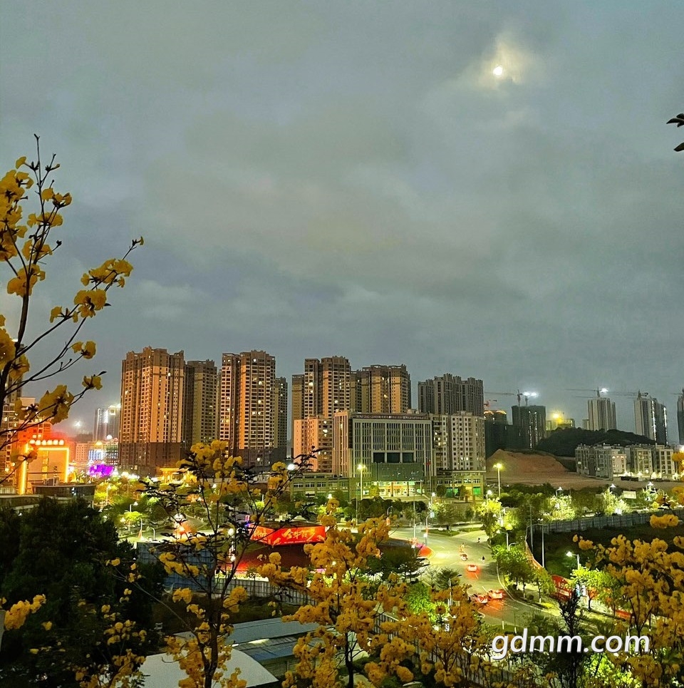 172237siiww7icx7xiho7e.jpg