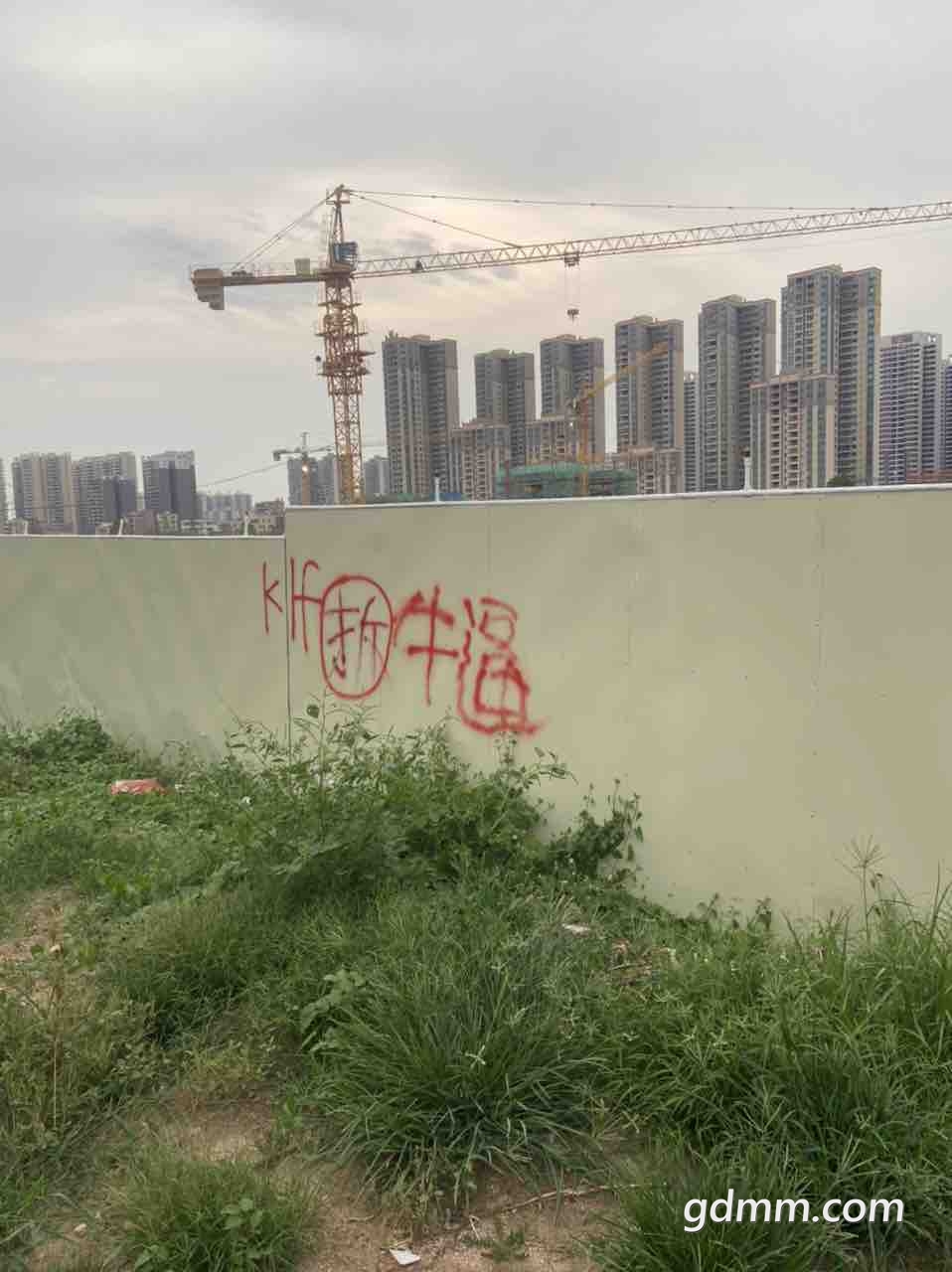 front1_0_FliFMQKkD8Yi9-zZiWFJdkqGeL9B.1622463309.jpg