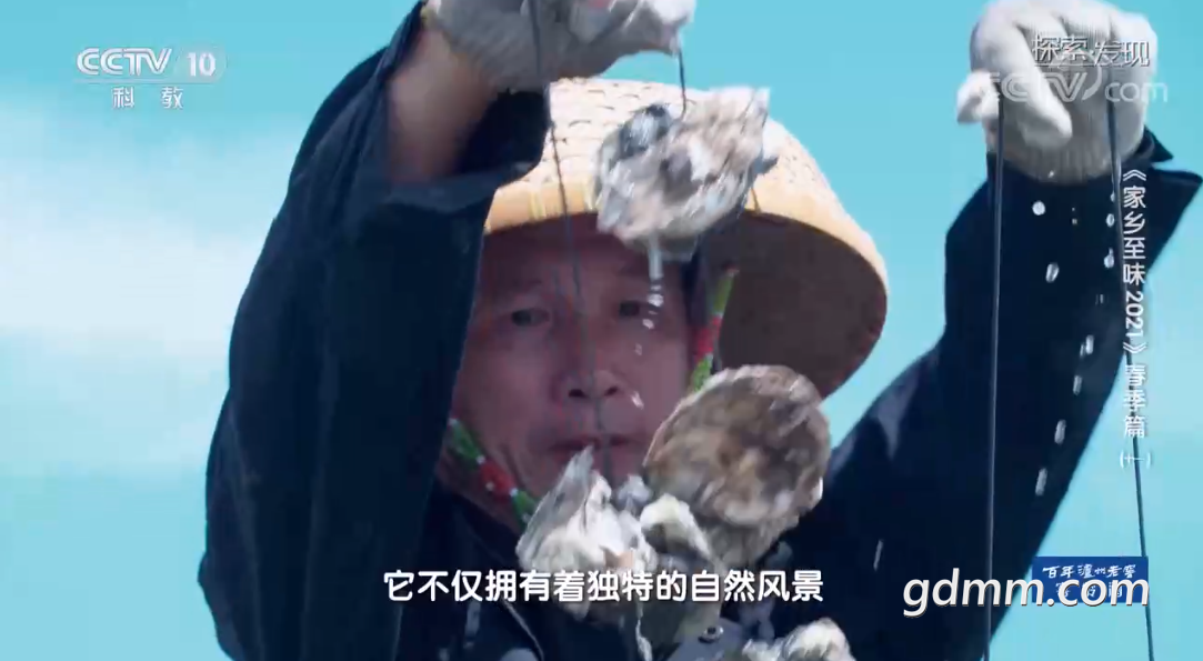 QQ截图20210605165000.png