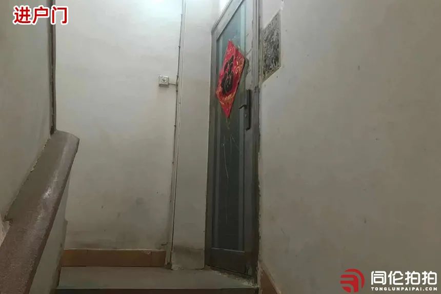 174554qzvz0jcgjhuyu8h1.jpeg