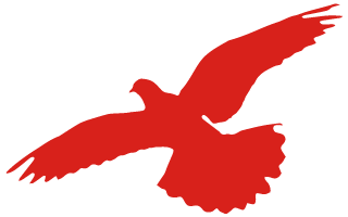 100957prmgf76gicjsjmmx.png