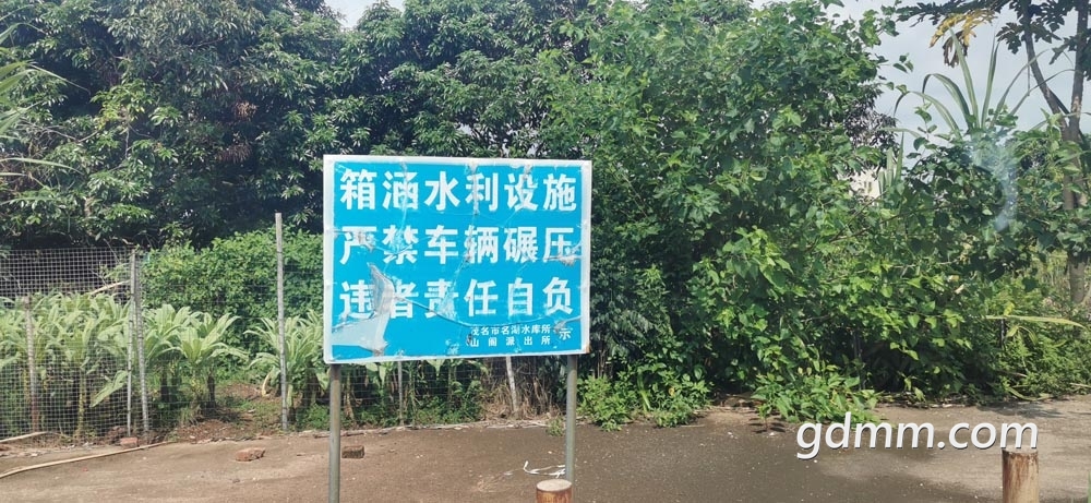 b3.jpg