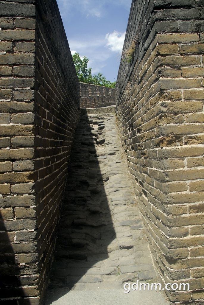 57.jpg