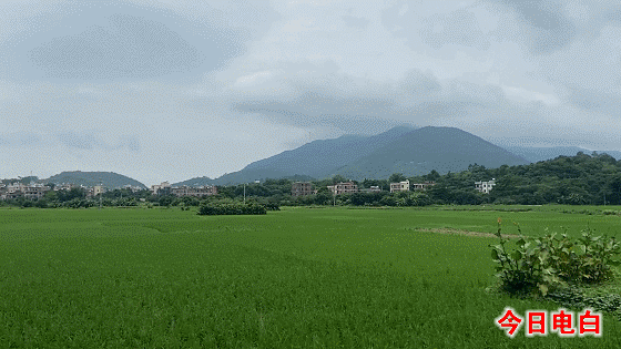 微信图片_20210810103152.gif