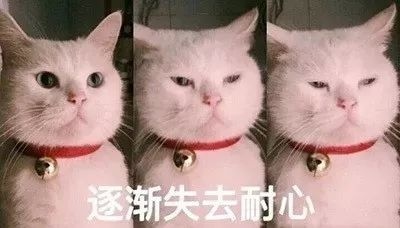 697977c49f2a4c11a4411e590adcc039.jpeg