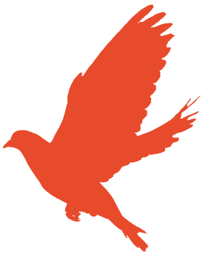 174805f13suc8iknre27an.png