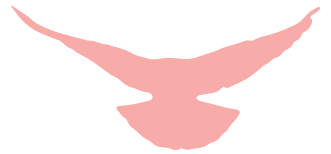 174805tv44z4p0k35dl4i3.png