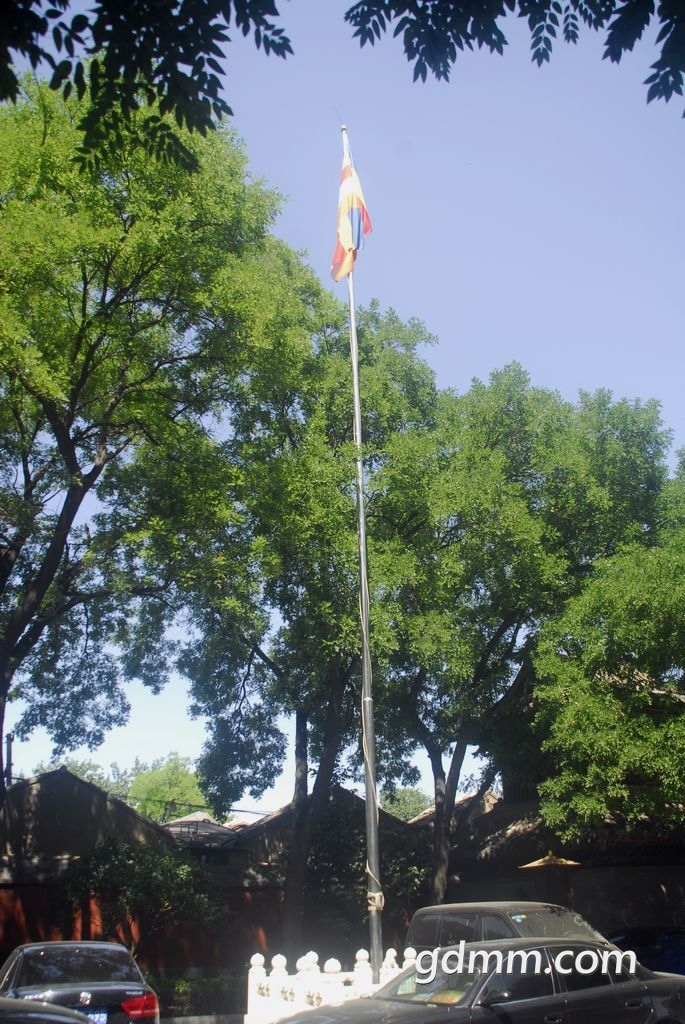 33.jpg