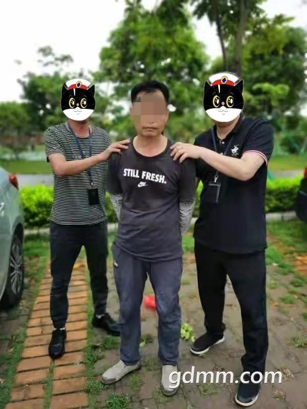 102710r2aem88wrww0502c.jpeg