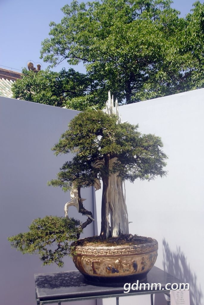58.jpg