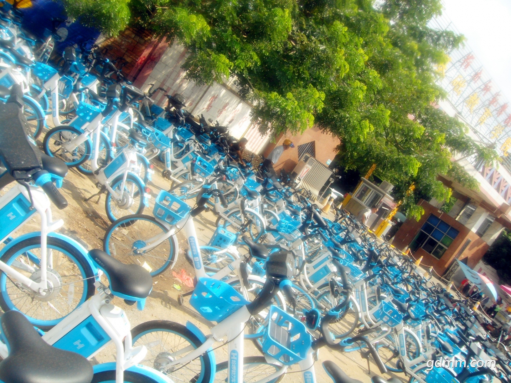 DSC09585_ (2).jpg