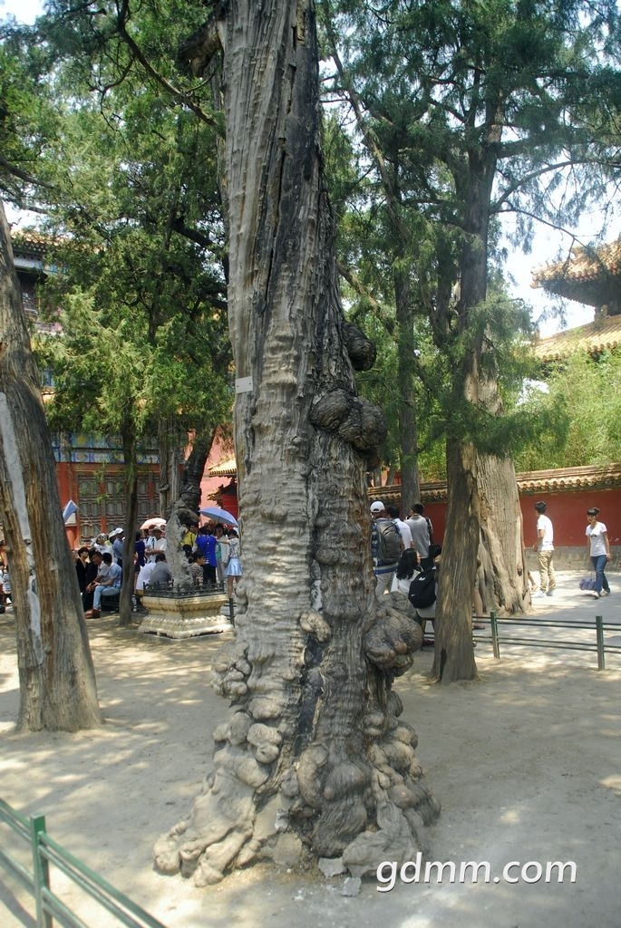 18.jpg