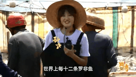 640.gif