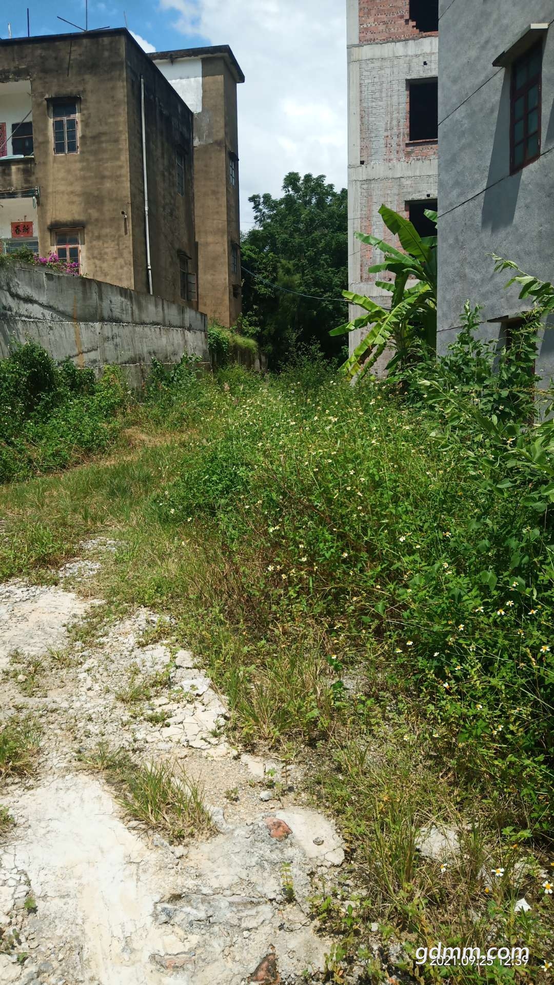 茂名地區生活環境最差的村莊–謝雞鎮鳳岸村