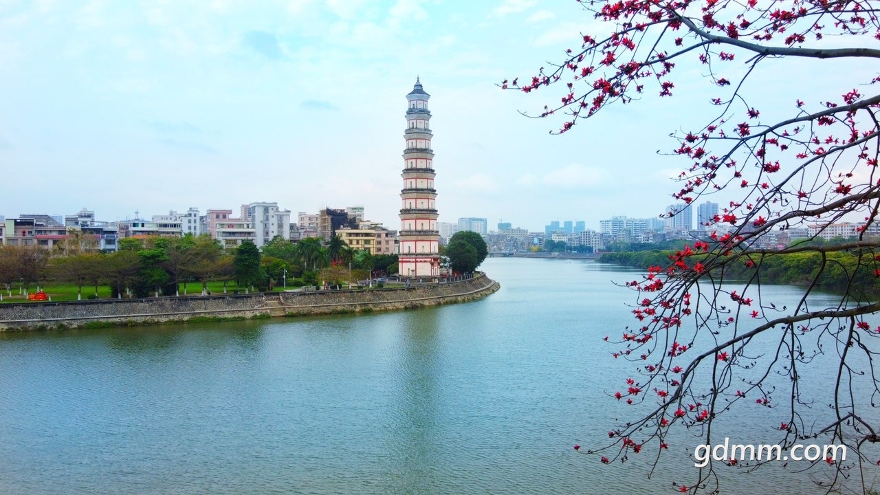 140713v1126x8975g7umm6.jpg