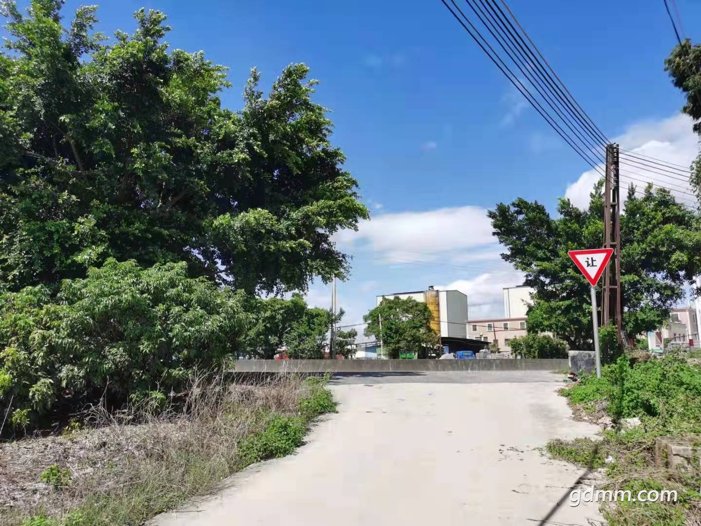 234.jpg