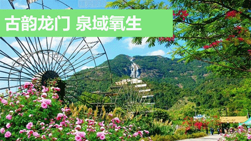 165607l2lmr2pt2pml22st.gif