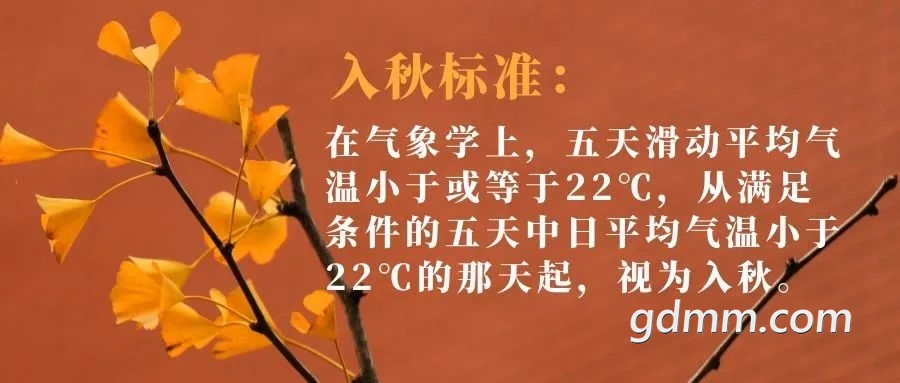 163351xn80zct5a854n0gy.jpeg