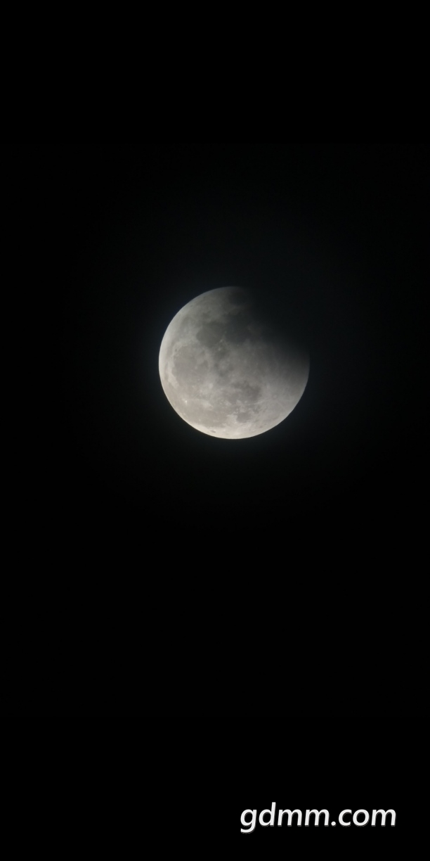 S11114-10303495.jpg