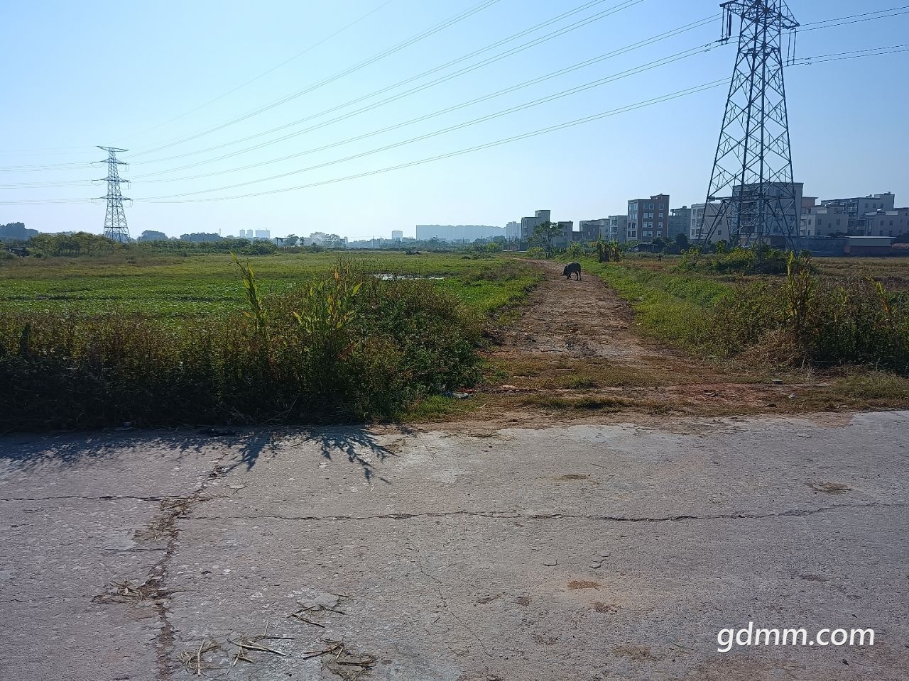 front2_0_1590349_FhnNf6MMjTNmXI-9uC2pL51pmPHc.1636866466_13_28_20.jpg