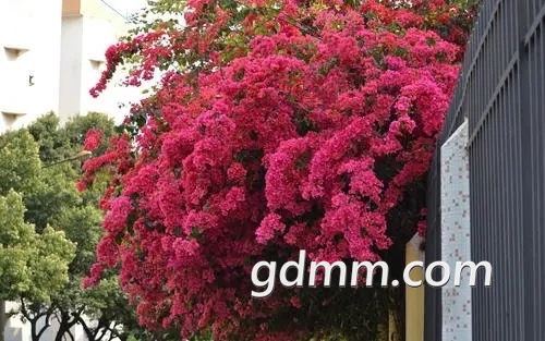 u=606424797,2498234327&amp;fm=26&amp;fmt=auto.webp.jpg