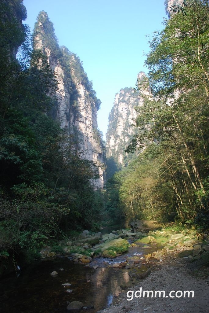 56.jpg