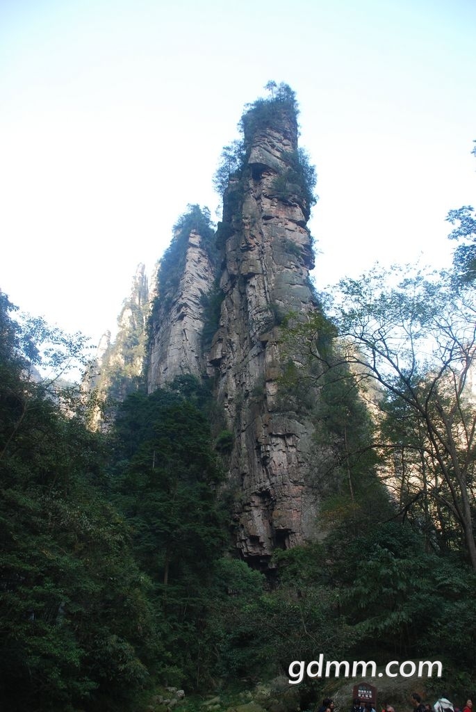 59.jpg