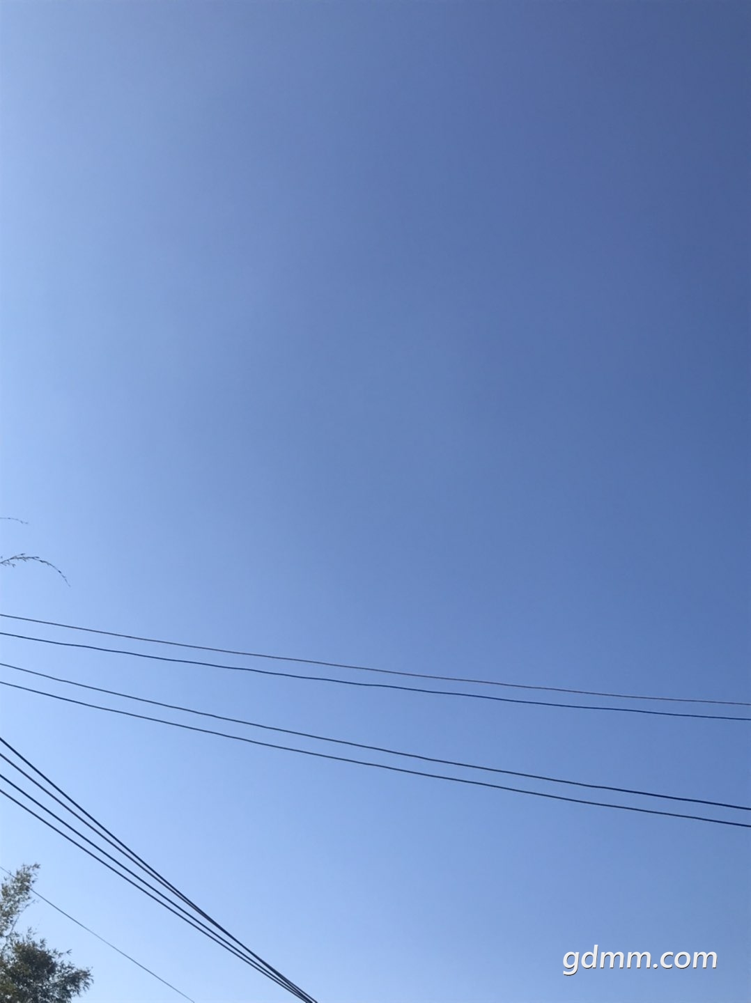 front1_0_3360904_FqsaQkbOxOV4eQ-IOOQmHhTEYis9.1638495402_09_36_43.jpg