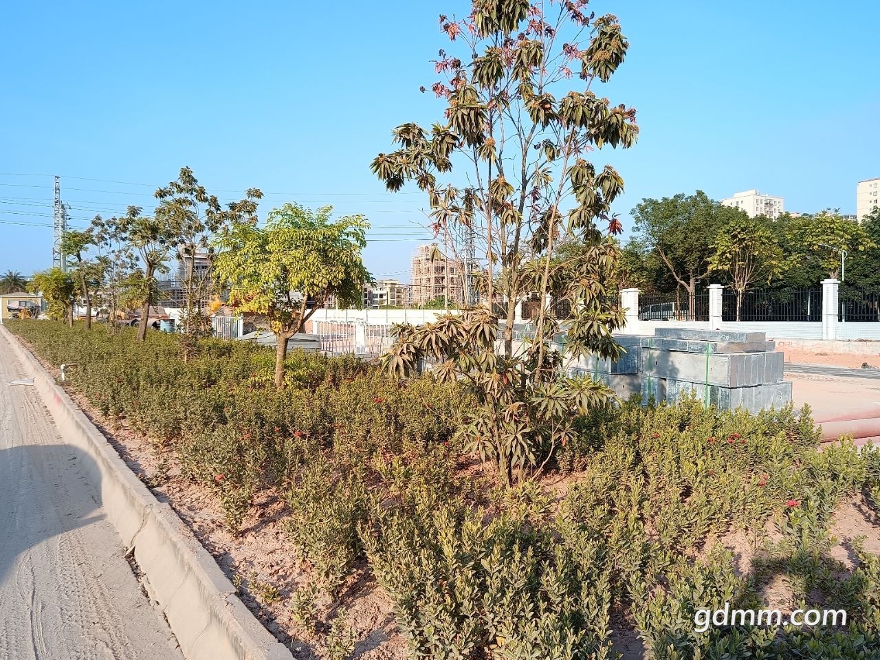 front2_0_1590349_Fum_Hsmp3KqQA9TZ1G1Aic98wKml.1639827368_19_36_57.jpg