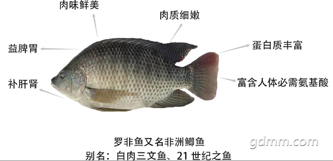 092645ij7bx7jsxlej8qvx.png