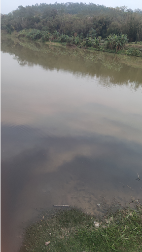 ΢ͼƬ_20220101175935.png