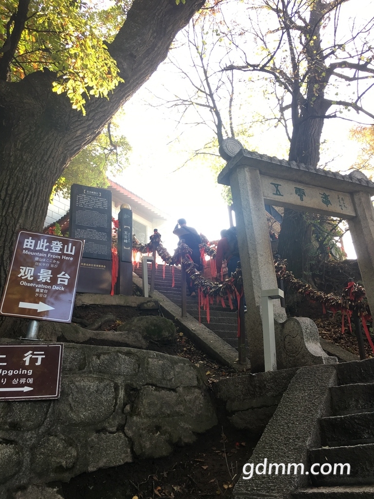159.jpg