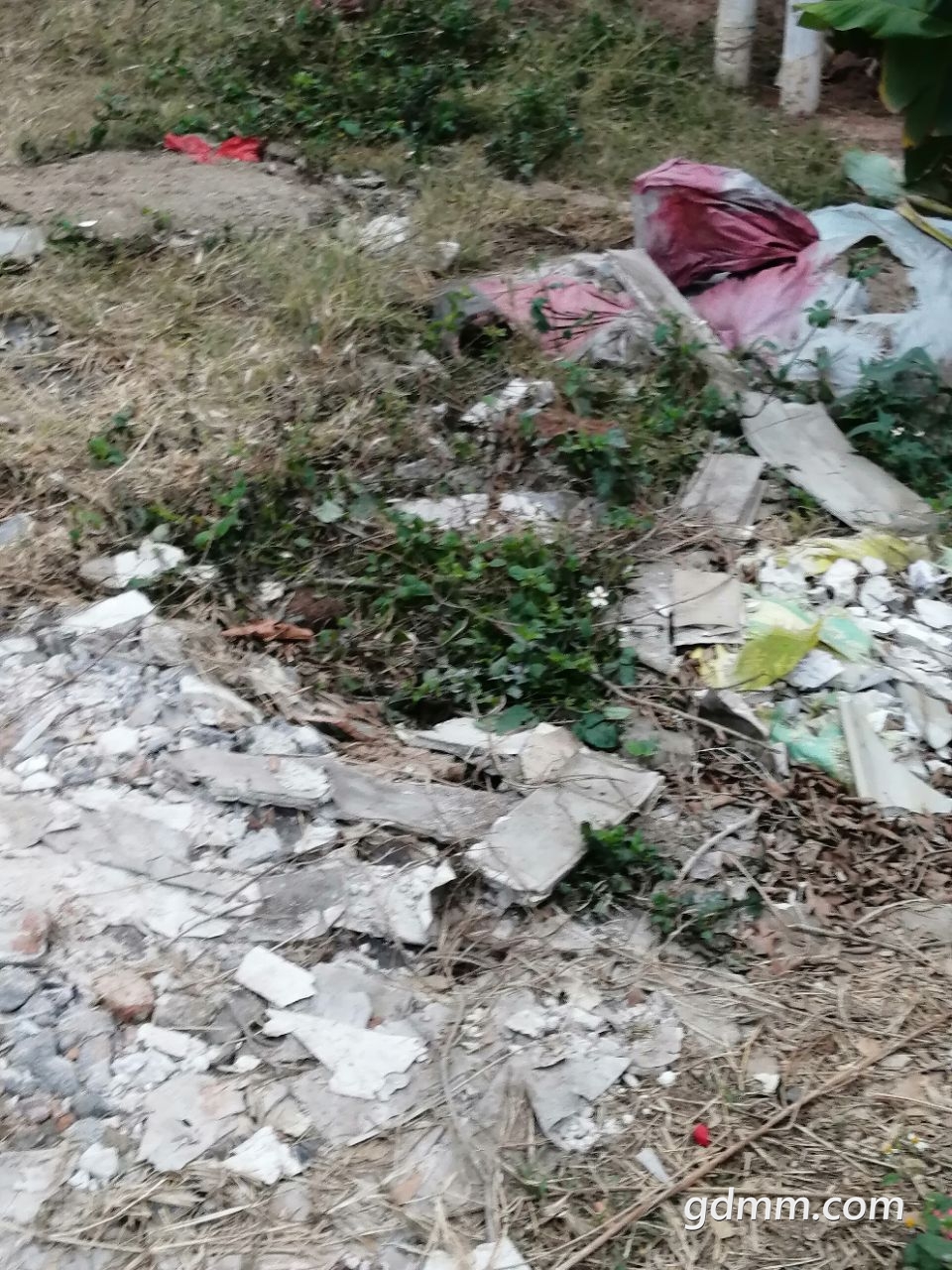 20220116093439front2_0_1016794_FtLokiTaTrK689BL0PJ6rIiPbBgx.jpg