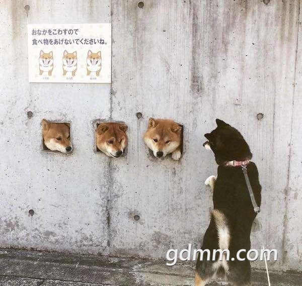 11111111111111111111111111.jpg
