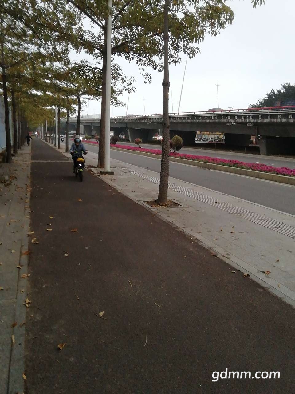 20220126181145front2_0_3257948_FoD5XaZ9TOt7Ia2PVj9a8kSRTlyM.jpg